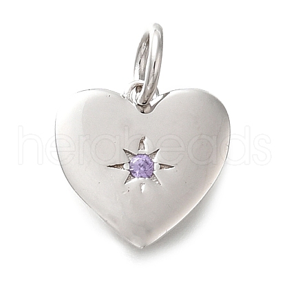 925 Sterling Silver Micro Pave Clear Cubic Zirconia Charms STER-V001-01P-02-1