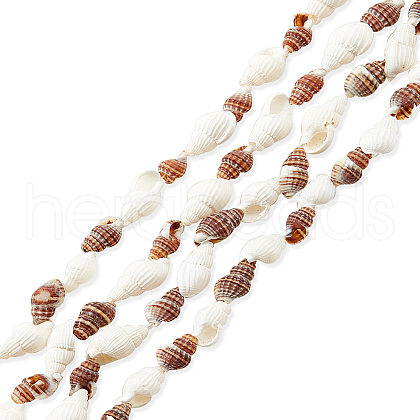   Natural Sea Shell Beads Strands SHEL-PH0001-41-1