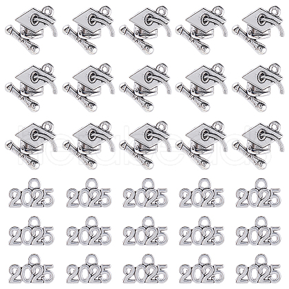 SUNNYCLUE 2 Styles Tibetan style Alloy Pendants PALLOY-SC0012-66-1
