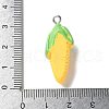 Resin Iron Pendants RESI-D280-18-3