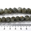 Natural Labradorite Star Cut Round Beads Strands G-M418-C10-01-5