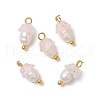 Flower Acrylic Charms PALLOY-JF03588-02-1