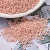 MIYUKI Delica Beads SEED-X0054-DB1503-1