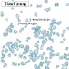 SUNNYCLUE Transparent Electroplate Crushed Glass Craft GLAA-SC0001-98C-01-2