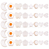  160Pcs 8 Styles Natural Freshwater Shell Beads Strands SHEL-TA0001-08-2