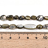 Natural White Shell Beads Strands SHEL-N036-21-5
