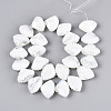 Handmade Lampwork Beads LAMP-N033-01H-2
