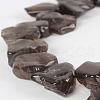 Natural Smoky Quartz Gemstone Bead Strands G-E217-02-1