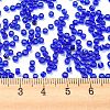 Transparent Colours Glass Seed Beads SEED-S042-11A-06-4