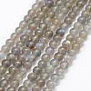 Natural Labradorite Beads Strands G-K209-04D-4mm-1