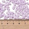Glass Seed Beads SEED-K009-02B-06-4