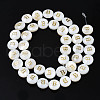 Natural Freshwater Shell Beads SHEL-S276-168B-2