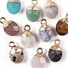10Pcs 10 Style Natural Gemstone Charms G-LS0002-15-4