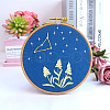 Flower & Constellation Pattern 3D Bead Embroidery Starter Kits DIY-P077-088-1