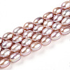 Natural Cultured Freshwater Pearl Beads Strands PEAR-N012-AA-03-2