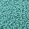MIYUKI Delica Beads SEED-X0054-DB1136-3