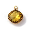 316 Stainless Steel Faceted Glass Pendants STAS-K258-47G-04-1