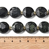Natural Kambaba Jasper Beads Strands G-C116-A170-03-5