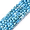 Natural Apatite Beads Strands G-I254-08F-1