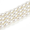 Baking Painted Pearlized Glass Pearl Bead Strands HY-T002-01B-02-3