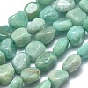 Natural Amazonite Beads Strands G-O186-B-08-A-2