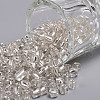 6/0 Glass Seed Beads X2-SEED-A005-4mm-21-1