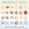 100G 2 Styles Clam Shell Beads SSHEL-YW0001-08-2