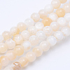 Natural Freshwater Shell Bead Strands X-SHEL-S253-01-1