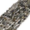 Natural Labradorite Beads Strands G-Q060-D02-2
