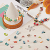SUNNYCLUE 187Pcs Nuggets Chips Natural Shell Beads BSHE-SC0001-15-4