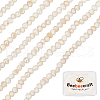 Beebeecraft 2 Strands Natural Cultured Freshwater Pearl Beads Strands PEAR-BBC0001-18-1