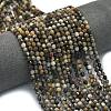 Natural Larvikite Beads Strands G-A260-A23-01-1