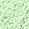 Baking Paint Glass Seed Beads X1-SEED-B001-02A-11-3