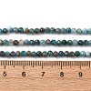 Natural Apatite Beads Strands G-RM241221-B12-3