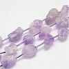 Natural Amethyst Bead Strands G-G937-M-03-1