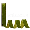 Velvet Ribbon SRIB-WH0006-18H-1