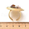 Natural Rose Quartz & Tiger Eye & Quartz Crystal & Amethyst Chip Finger Rings for Women RJEW-R012-06G-01-3