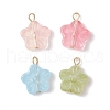 Glass Charms PALLOY-JF03421-1
