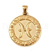 304 Stainless Steel Pendants STAS-C131-04G-02-1