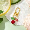 Apple Handmade Lampwork & Resin Pendant Decorations HJEW-JM03061-1