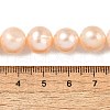 Natural Cultured Freshwater Pearl Beads Strands PEAR-I007-07S-02-5