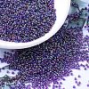 MIYUKI Round Rocailles Beads SEED-X0054-RR0356-1