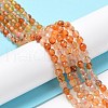 Natural Agate Beads Strands G-Q1000-02F-4
