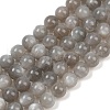 Natural Grey Moonstone Beads Strands G-G206-A01-10mm-2