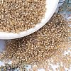 MIYUKI Round Rocailles Beads X-SEED-G007-RR1004-4