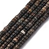 Natural Biotite Beads Strands G-L624-I12-2x4mm-2