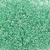 12/0 Glass Seed Beads SEED-A015-2mm-2218-2
