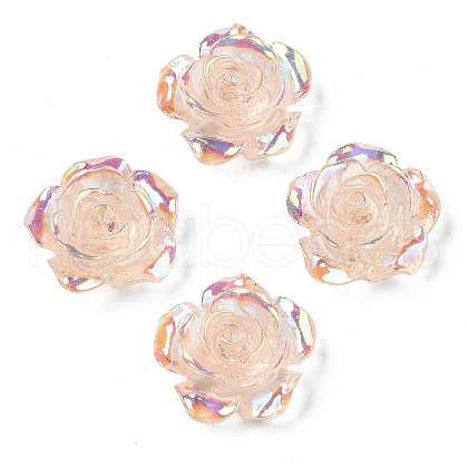 Transparent Resin Cabochons CRES-N030-001B-05-1