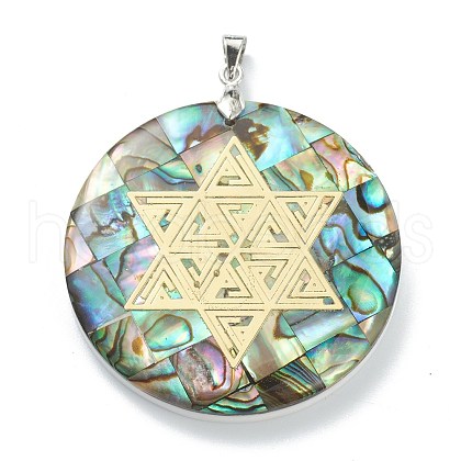 Natural Abalone Shell/Paua Shell Pendants SSHEL-L019-06P-1