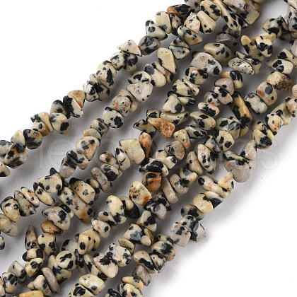 Natural Dalmatian Jasper Beads Strands X-G-G0003-B29-1